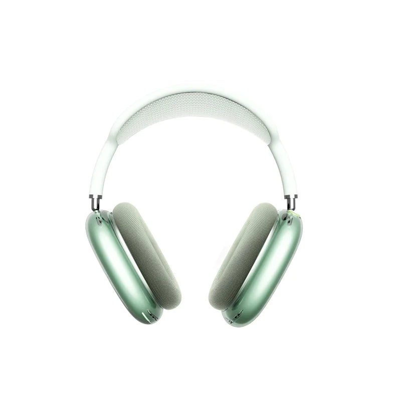 Dustproof Earphone Case