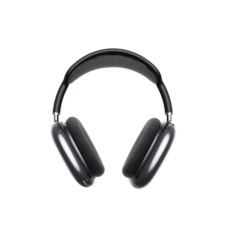 Dustproof Earphone Case